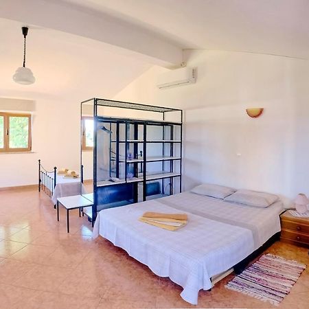 Studio Apartment Gianni Vižinada Eksteriør billede