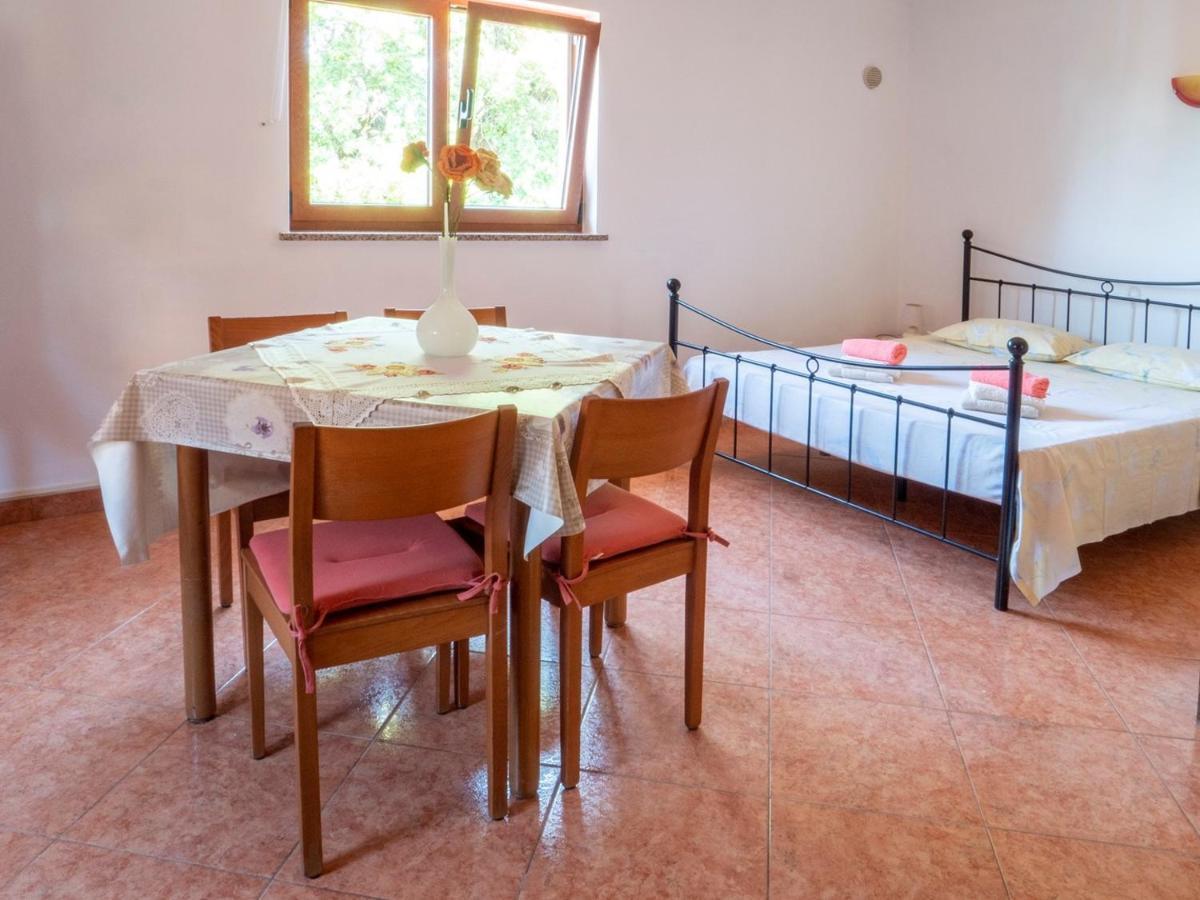 Studio Apartment Gianni Vižinada Eksteriør billede
