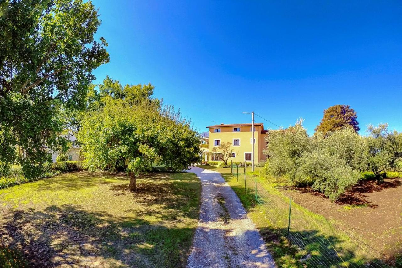 Studio Apartment Gianni Vižinada Eksteriør billede